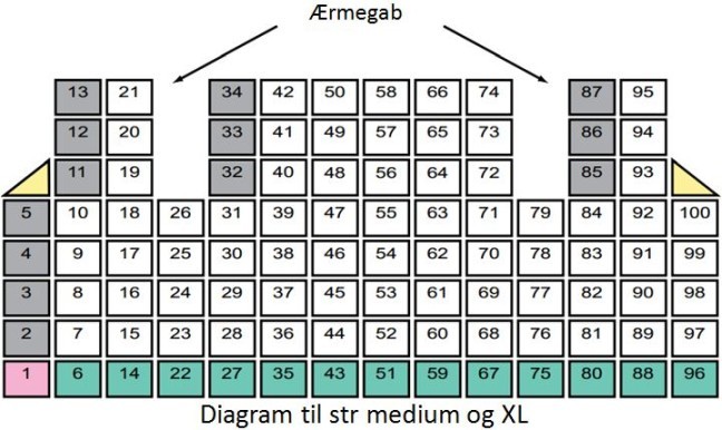 domino-diagram_2_